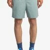 Element Homme VALLEY Short Chinois Green