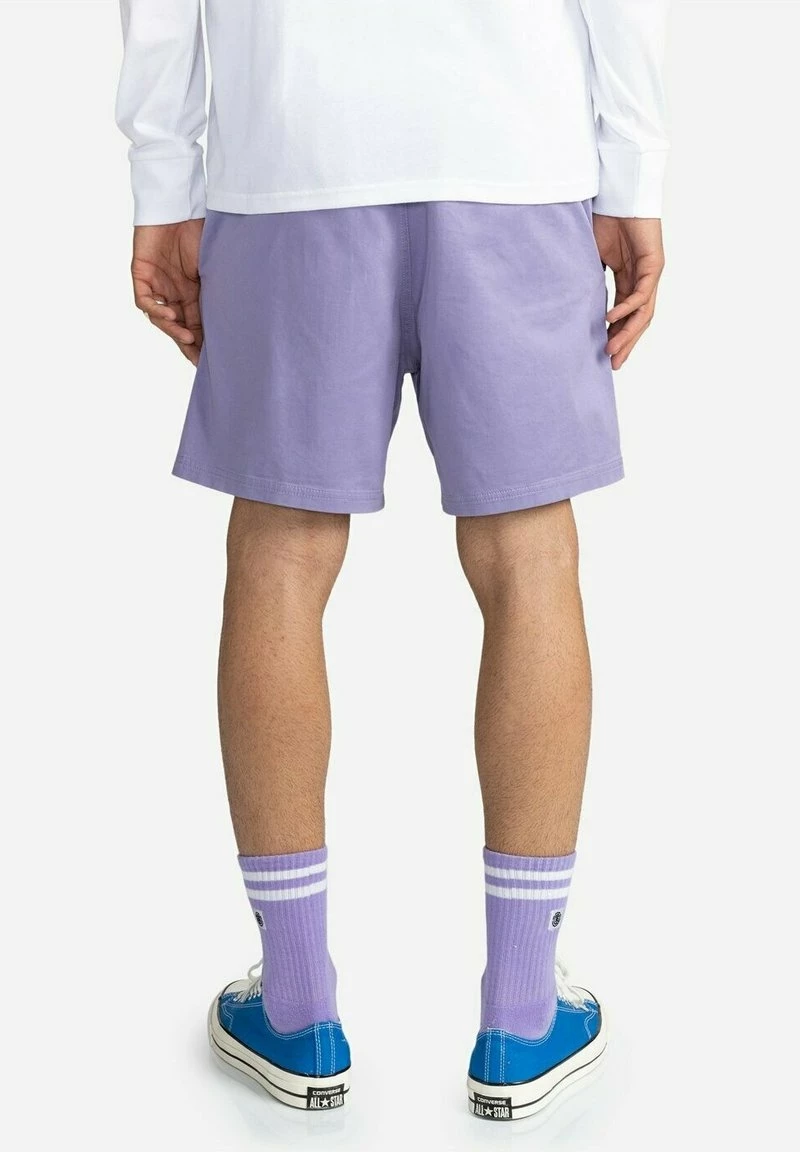 Element VALLEY Short Daybreak Homme 3 Element VALLEY Short Daybreak Homme – Image 3