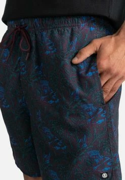 Element Homme CANYON TIMBER Short Garden T -Element Soldes 5cc9ec6cf9ea4d9280e47bdbaeda6531