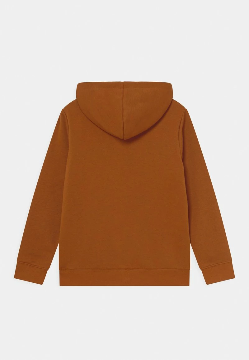 Element Enfant CORNELL CLASSIC Sweat à Capuche Glazed Ginger 2 Element Enfant CORNELL CLASSIC Sweat à Capuche Glazed Ginger â Image 2