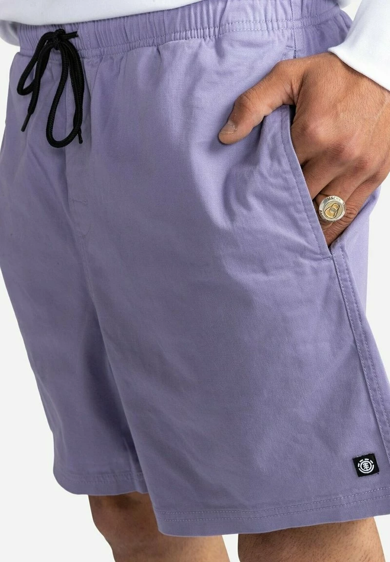 Element VALLEY Short Daybreak Homme 4 Element VALLEY Short Daybreak Homme – Image 4